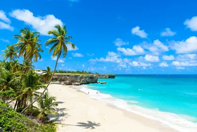 Photos and videos of Barbados in the tripmydream gallery