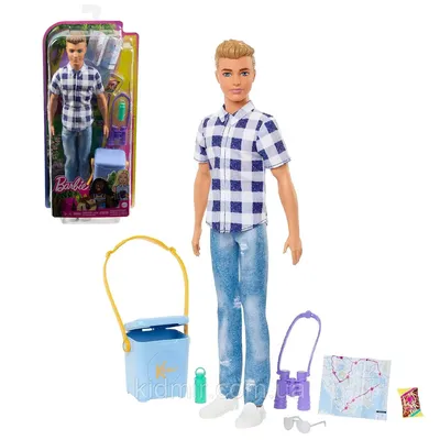 Barbie Ken Camping HHR66 Кукла Барби Кен Кемпинг — Купить на  ᐉ  Удобная Доставка (2001958074)