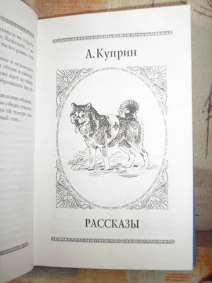 Презентация по литературному чтению на тему "Барбос и Жулька" А.И.Куприн