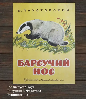 Барсучий нос. Рассказы и сказки. Паустовский К. – купить по лучшей цене на  сайте издательства Росмэн