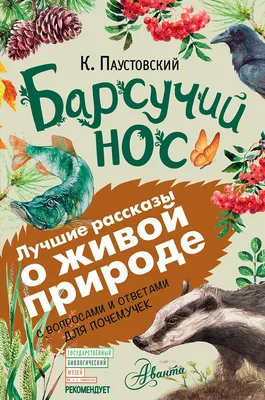 Иллюстрация 15 из 20 для Барсучий нос - Константин Паустовский | Лабиринт -  книги. Источник: Лабиринт