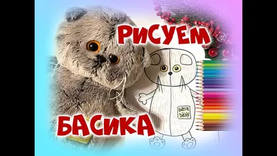 Рисунки басика - 77 фото