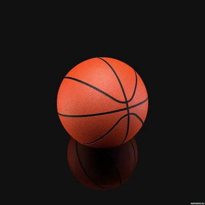 Спорт, #Баскетбол, #аватары, #картинки, #фото, #авы,  /kartinka/18208 | Баскетбол, Спорт, Баскетбольная  фотография