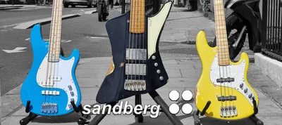 The Bass Shop | Selected Used and Vintage Bass Guitars