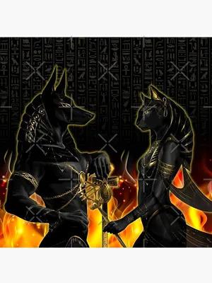 Anubis Bastet Ancient Egyptian Mythology Culture" Art Board Print for Sale  by vuhoa0201 | Redbubble