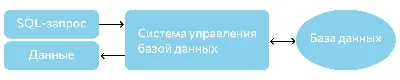 База данных 1С: Файловая или серверная. Что выбрать?