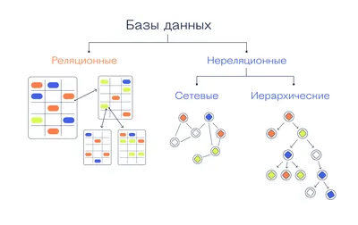 База данных (БД): что такое, виды