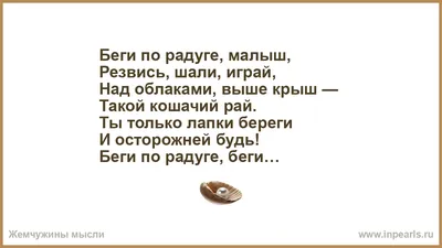 Беги по радуге, малыш, Резвись, шали, играй, Над облаками, выше крыш —  Такой кошачий рай. Ты только лапки береги И осторожней будь! Беги по раду...