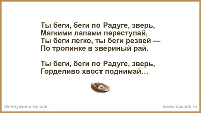 У Найды обнаружена опухоль головного мозга... Нужна Ваша помощь и  поддержка! | Приют для бездомных животных, г. Москва, Кожухово