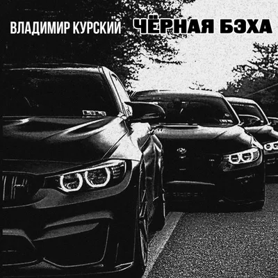 Чёрная бэха - Album by Vladimir Kurskiy - Apple Music