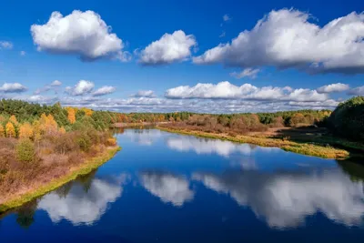 Весна / Природа Беларуси