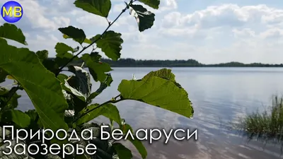 Природа Беларуси - 2 | Пикабу