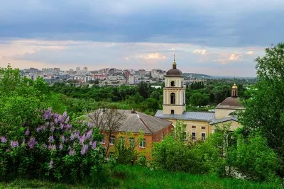 Проспект Ватутина (Белгород) — Википедия