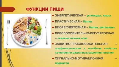 Идеальное сочетание белков, жиров и углеводов на день. | Питание, Еда, Диета