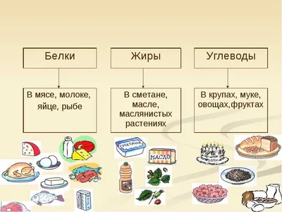 Картинки Состав продуктов: белки, жиры, углеводы (53 фото)