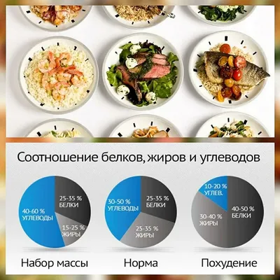 Продукты, содержащие белки, жиры и углеводы. Список плохих и хороших  продуктов для стройной фигуры — Фитнесомания для каждого!