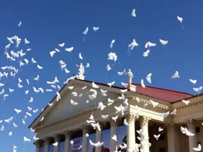 В Борках Рязанской области появится парк «Белые птицы» и «Музей Оки» |  ОБЩЕСТВО | АиФ Рязань