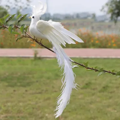 Модель белой птицы из пенопласта с перьями, крылья с длинным хвостом,  подарок для птицы, около 30 см xf2995 | AliExpress