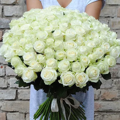 Белые розы. Галерея фото | Белые розы, Розы, Цветок