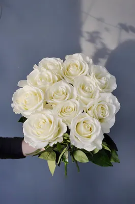 Красивые белые розы на светлом фоне :: Стоковая фотография :: Pixel-Shot  Studio