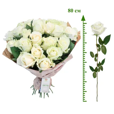 137. Розы белые 11шт Голландия Белые розы доставка - Агава