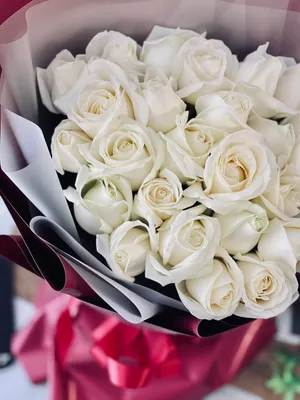белые розы, купить белые розы в уфе, белые розы в упаковке, розы уфа, цветы  уфа, красивые картинки роз, картинки цветов, б… | Белые розы, Белые букеты,  Букет цветов
