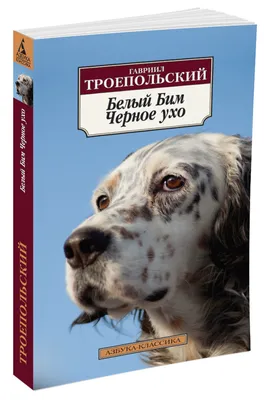 Непрочитанная школьная литература: «Белый Бим, Черное ухо» | 