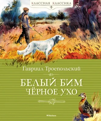 Фильм «Белый Бим Чёрное Ухо» 1977: актеры, время выхода и описание на  Первом канале / Channel One Russia