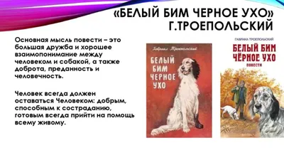 Белый Бим Черное ухо, 1976 — смотреть фильм онлайн в хорошем качестве —  Кинопоиск