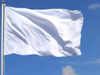 Белый флаг картинки