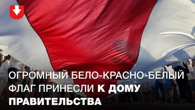 Мэрия Вильнюса вывесила флаг белорусской оппозиции вместо городского - РИА  Новости, 