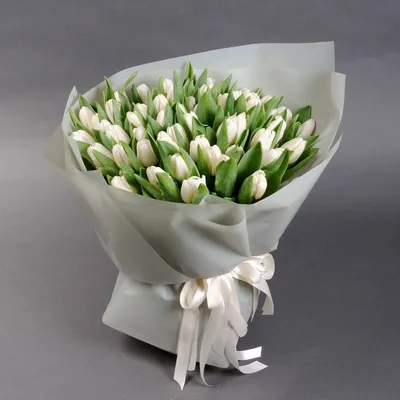Белые тюльпаны в Тынде