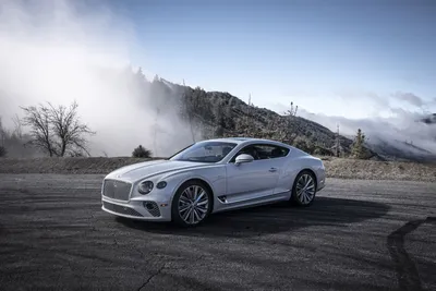 New 2023 Bentley Continental GT V8 2D Coupe in Golden Valley #PC010812 |  Morrie's Luxury Auto7300 Wayzata  Valley, MN  55426612-256-1980612-256-1980