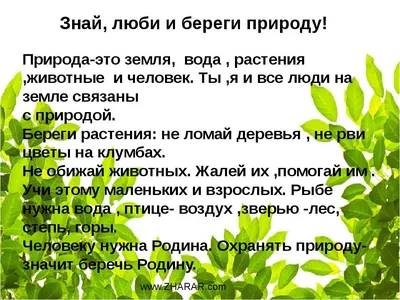 Плакат "Берегите растения!" для учеников 3 класса.