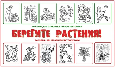 Раскраски Берегите растения (37 шт.) - скачать или распечатать бесплатно  #19098