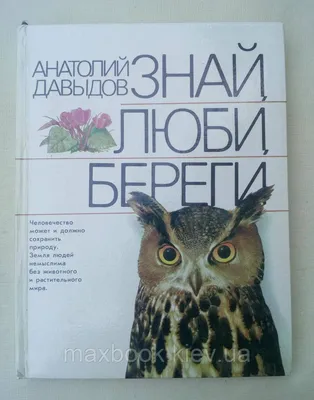 Рисунок берегите воду. Рисунок берегите воздух. Берегите природу. Берегите  планету. Тема экология рисунок. Карандаши и краски | Карандаши и краски |  Дзен