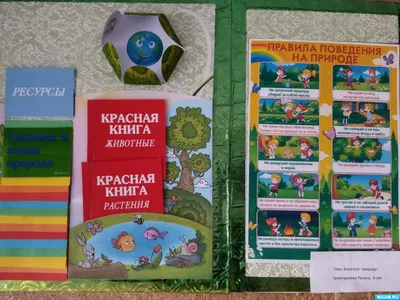 Лэпбук «Береги природу!» (3 фото). Воспитателям детских садов, школьным  учителям и педагогам - Маам.ру