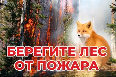 Плакат Берегите лес от пожара