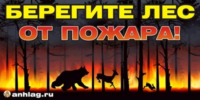 Промо-аншлаг ЛА-68 "Берегите лес от пожара" - Интернет-магазин "Аншлаг"