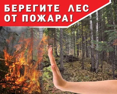 Подведены итоги конкурса листовок «Берегите лес от пожаров»! - Новости из  МПР - Новости - Кузнецкий Алатау