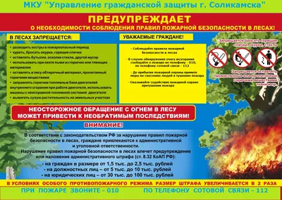 Берегите лес от пожара (арт. БЛ-19) купить в Хабаровске с доставкой: цены в  интернет-магазине АзбукаДекор