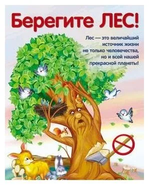 Плакат "Берегите лес"! — купить в интернет-магазине по низкой цене на  Яндекс Маркете