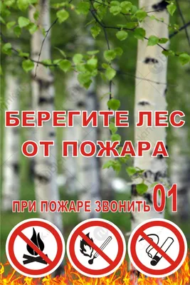 Аншлаги противопожарные "Берегите лес от пожара", стенды в лес, новинки  2019 - Агитация | Плакат, Детские рисунки, Рисунки