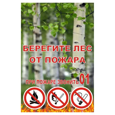 Плакат Берегите лес от пожара