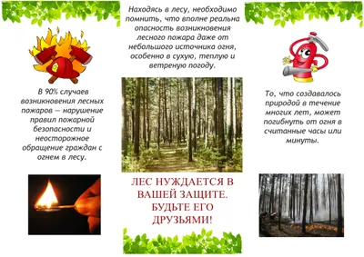 Памятка "Берегите лес!" | Белоярский сельсовет Алтайского района Республики  Хакасия