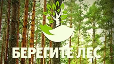 Эко Акция «Берегите лес!». Викторина «Полна загадок, чудесница природа» -  Культурный мир Башкортостана