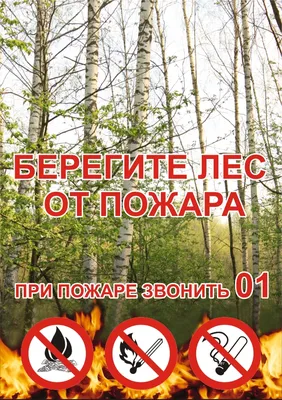 Ружане, берегите лес от пожара! - РузаРИА - Новости Рузского городского  округа. Фото и видео