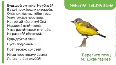 Берегите птиц 🦜🦜 | наши попугайчики и природа 🌿🍃 | Дзен