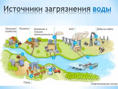 Страница 36 — ГДЗ по Окружающему миру для 3 класса Рабочая тетрадь Плешаков  А.А. Часть 1. - ГДЗ РЕД