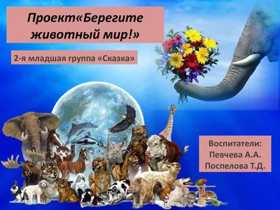 Экологический плакат "Берегите животных на планете!" | Образовательная  социальная сеть